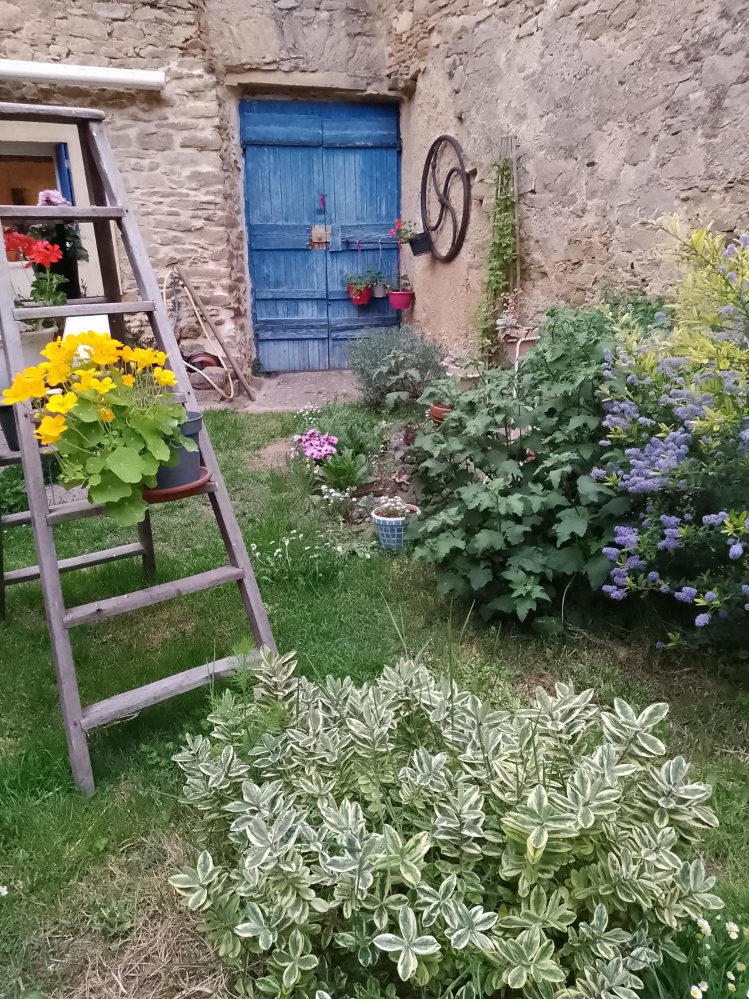 Maison Isivier Magrie Zewnętrze zdjęcie